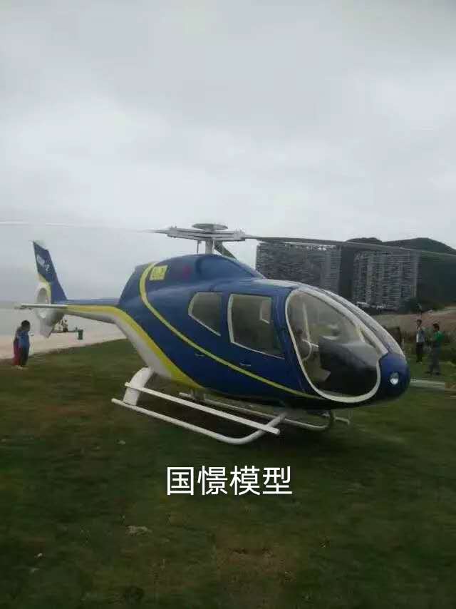 凤城市飞机模型